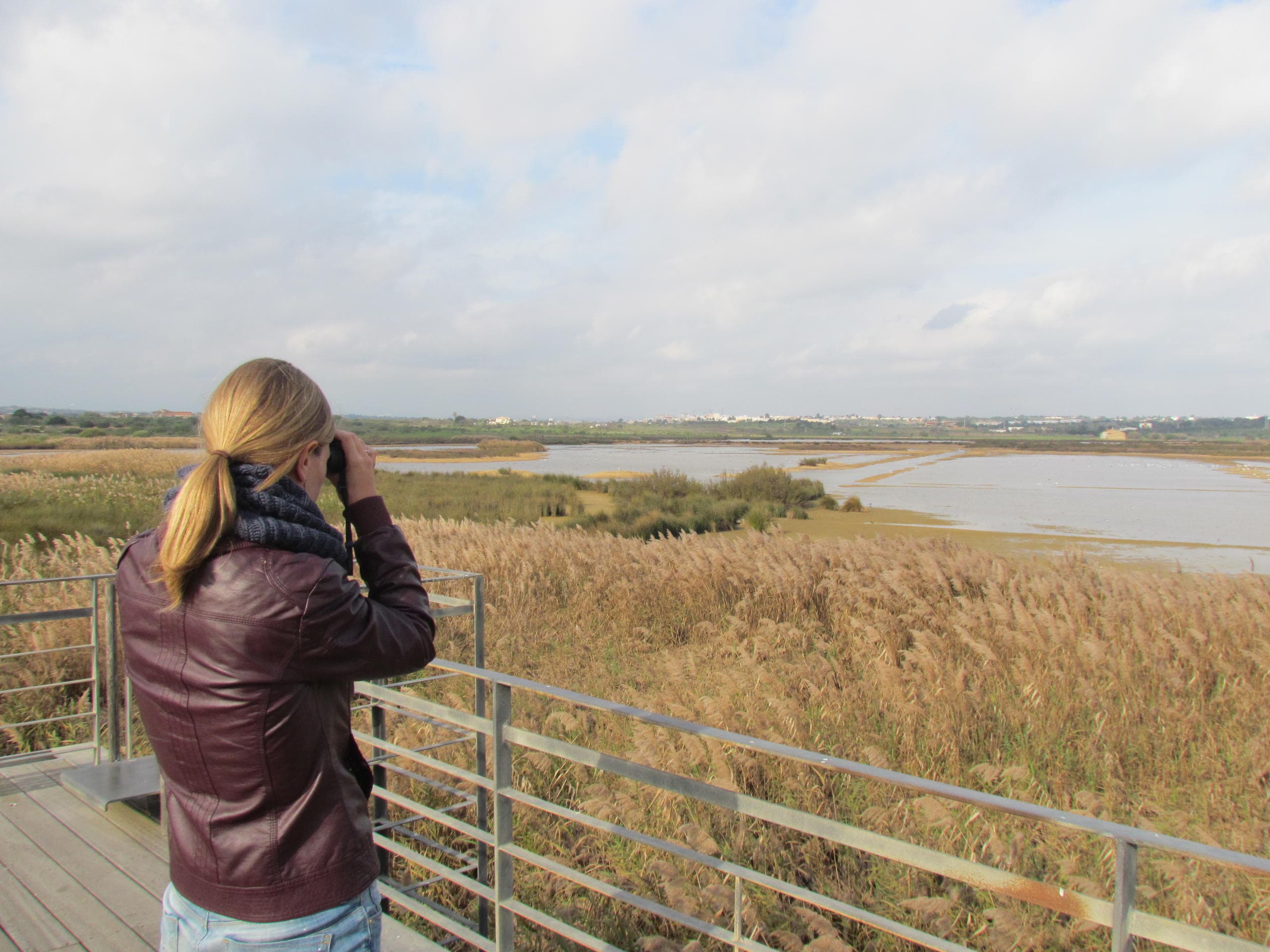 Wildlife Viewing at Lagoa dos Salgados with A Rocha Life in Portimão