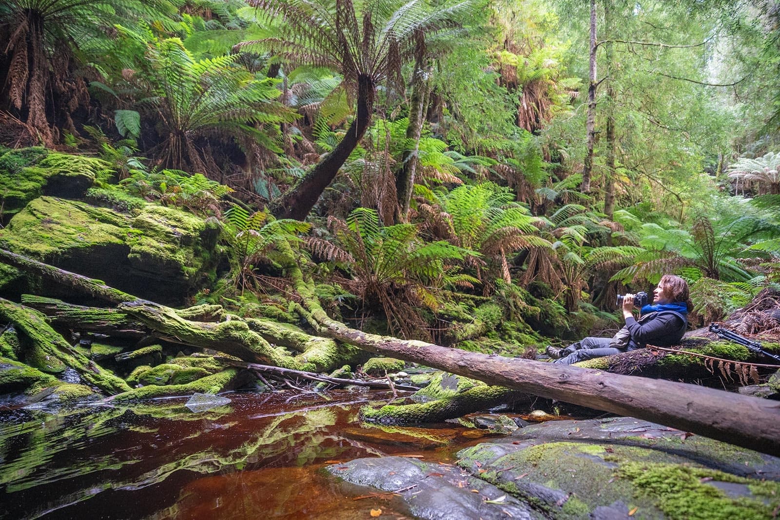 Private 3 Day Photography Tours with Luke O'Brien in Tasmania