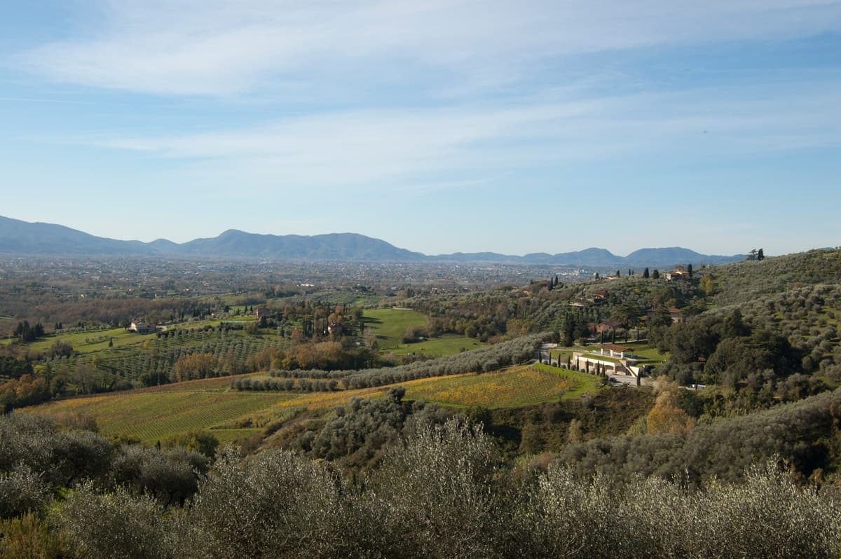 Land Adventures: Private Wine & Hike in Lucca's Hills