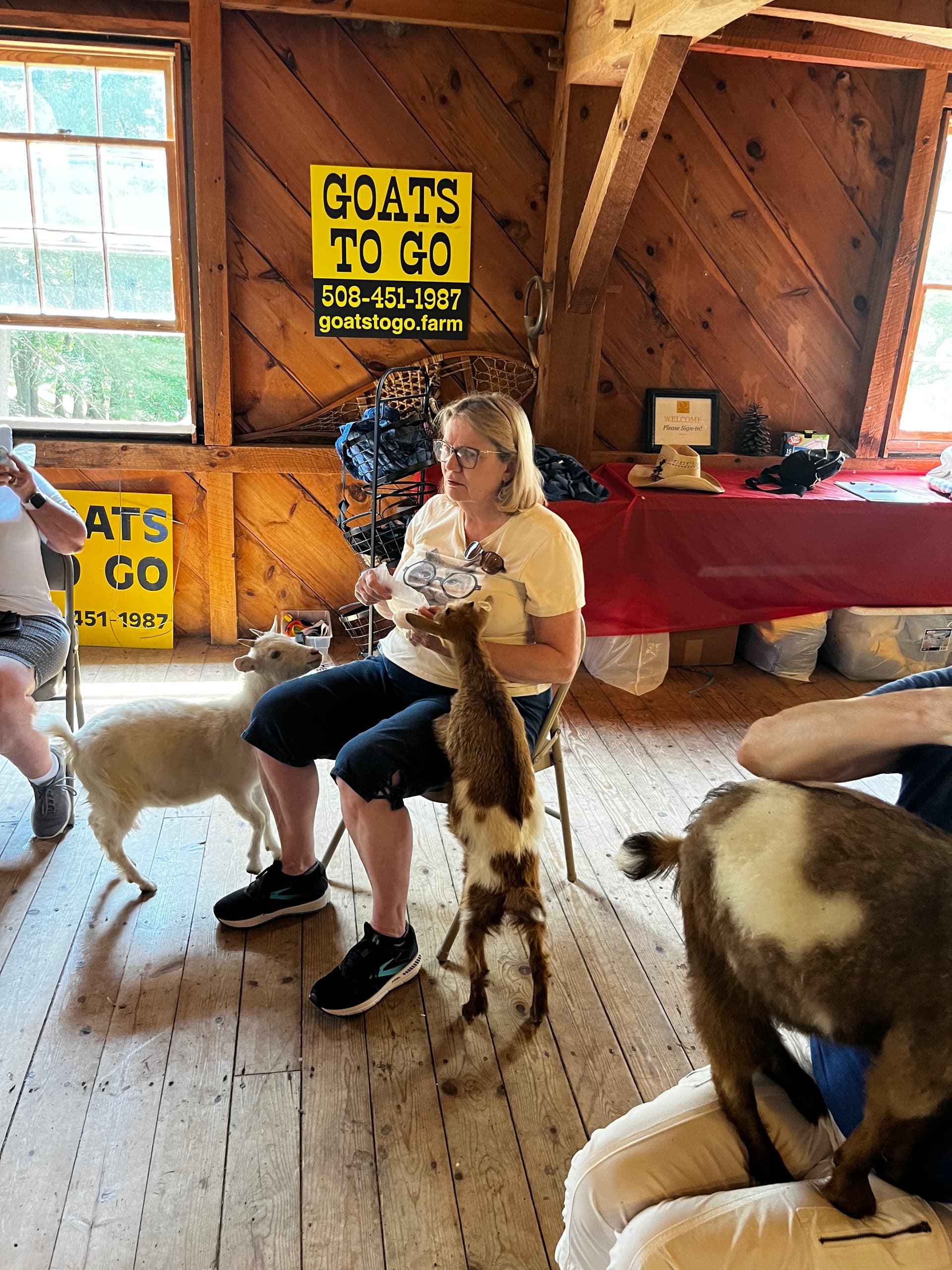 Gentle Chair Yoga with Goats by Goats To Go