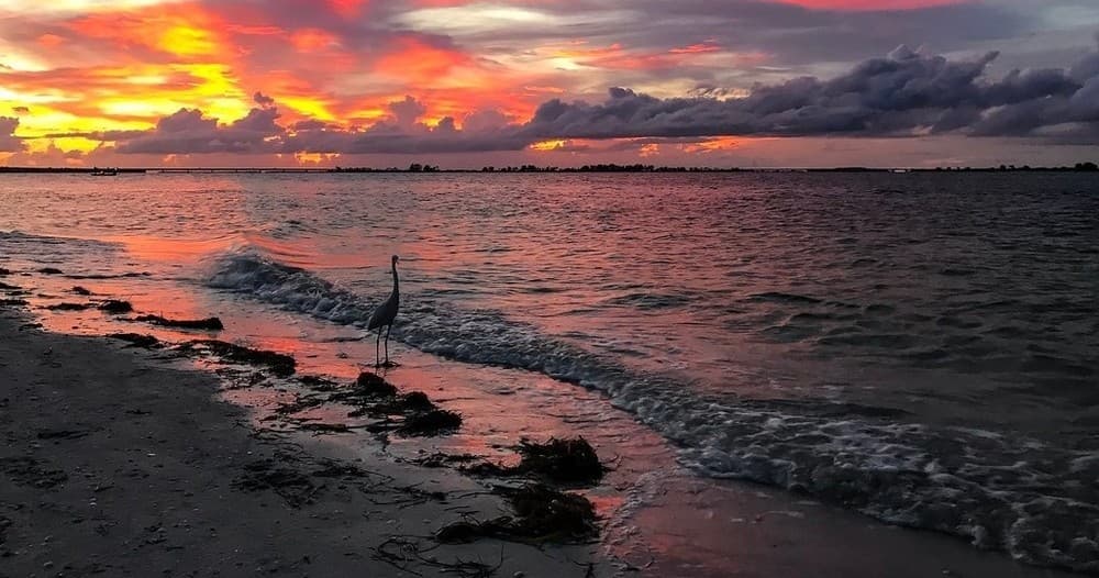 Water-Activities: Fort Myers Beach Sunset Tour by Captain J's