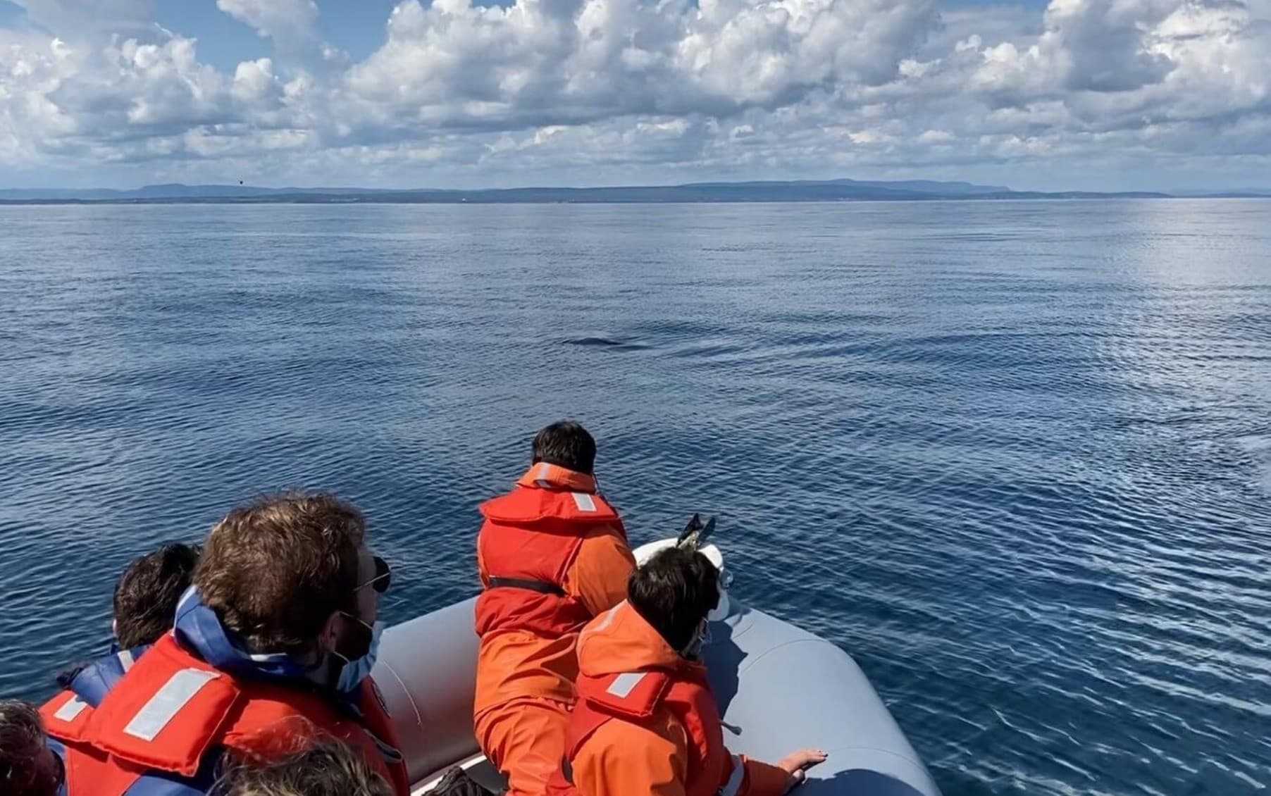 Private whale-watching cruise from L’Anse-à-Brillant — Gaspé coast small-group charter