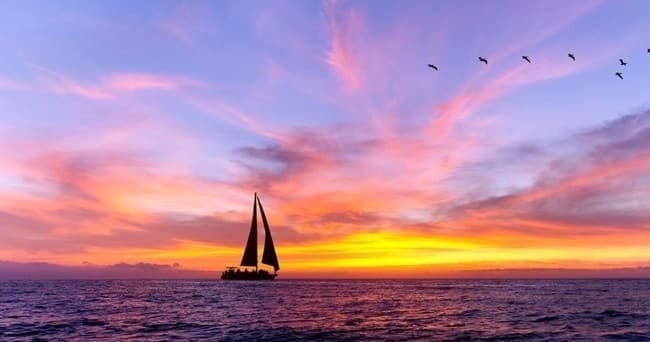 Paradise Adventures fleet