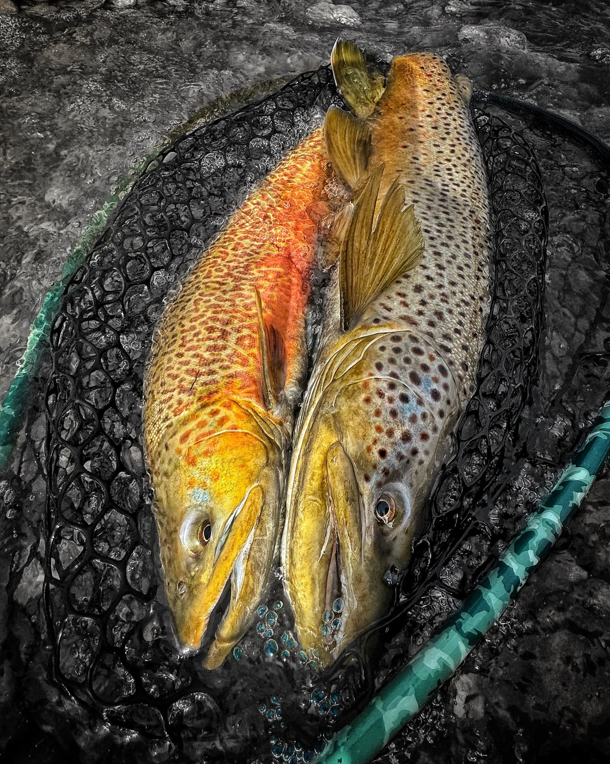 Fishing Adventures with Kindred Anglers LLC in Dacono