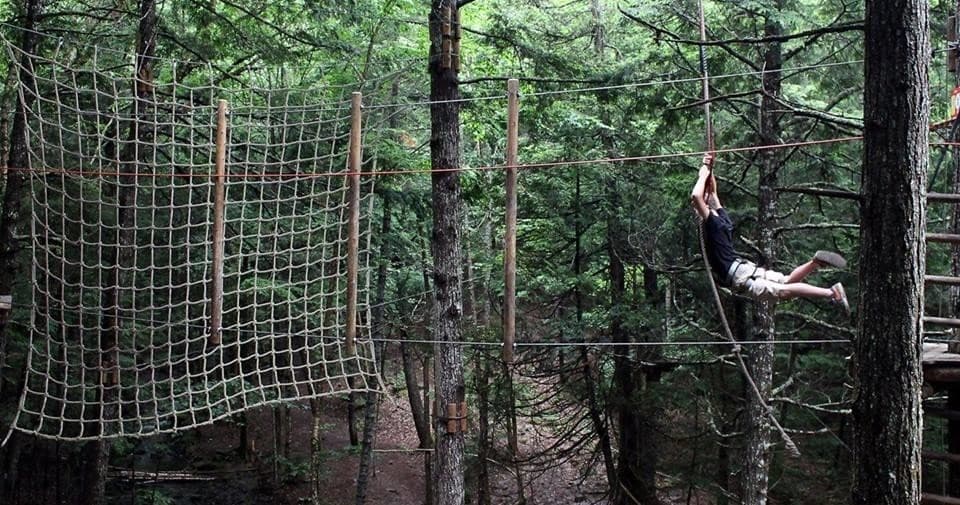 Treetop obstacle net and participant navigating among pines