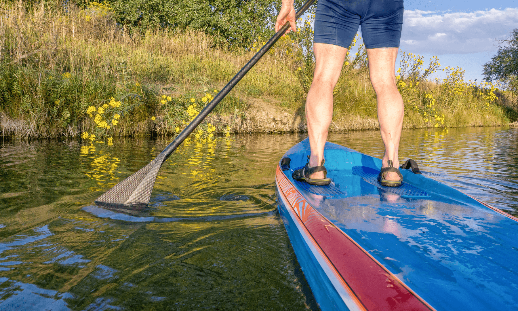 CTA Section Background Image