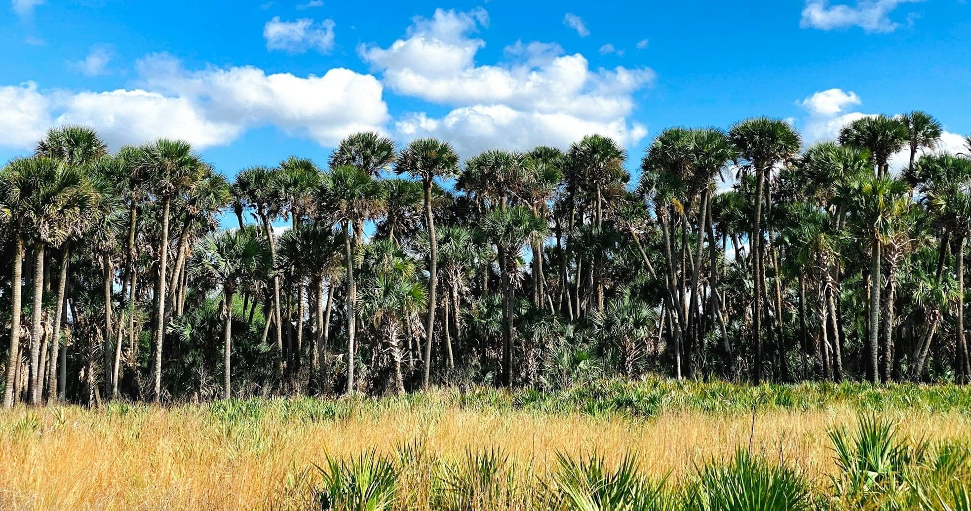 Slingshot Rentals of Central FL: 24 Hour Ride Adventure