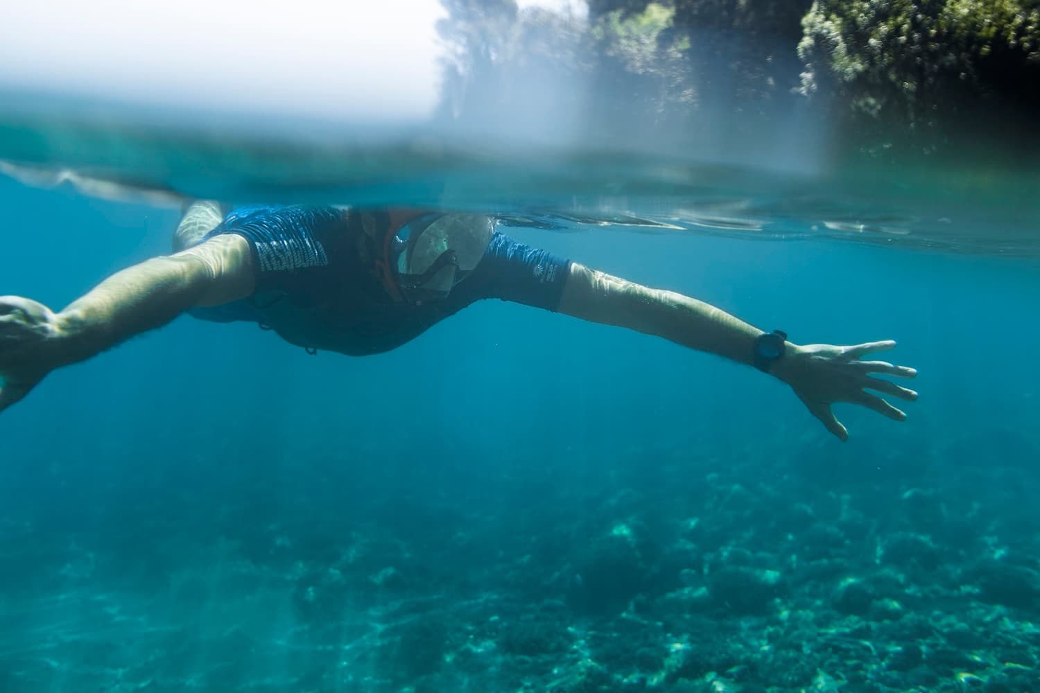 Snorkeling & Marine Conservation with OutBe at Cinque Terre