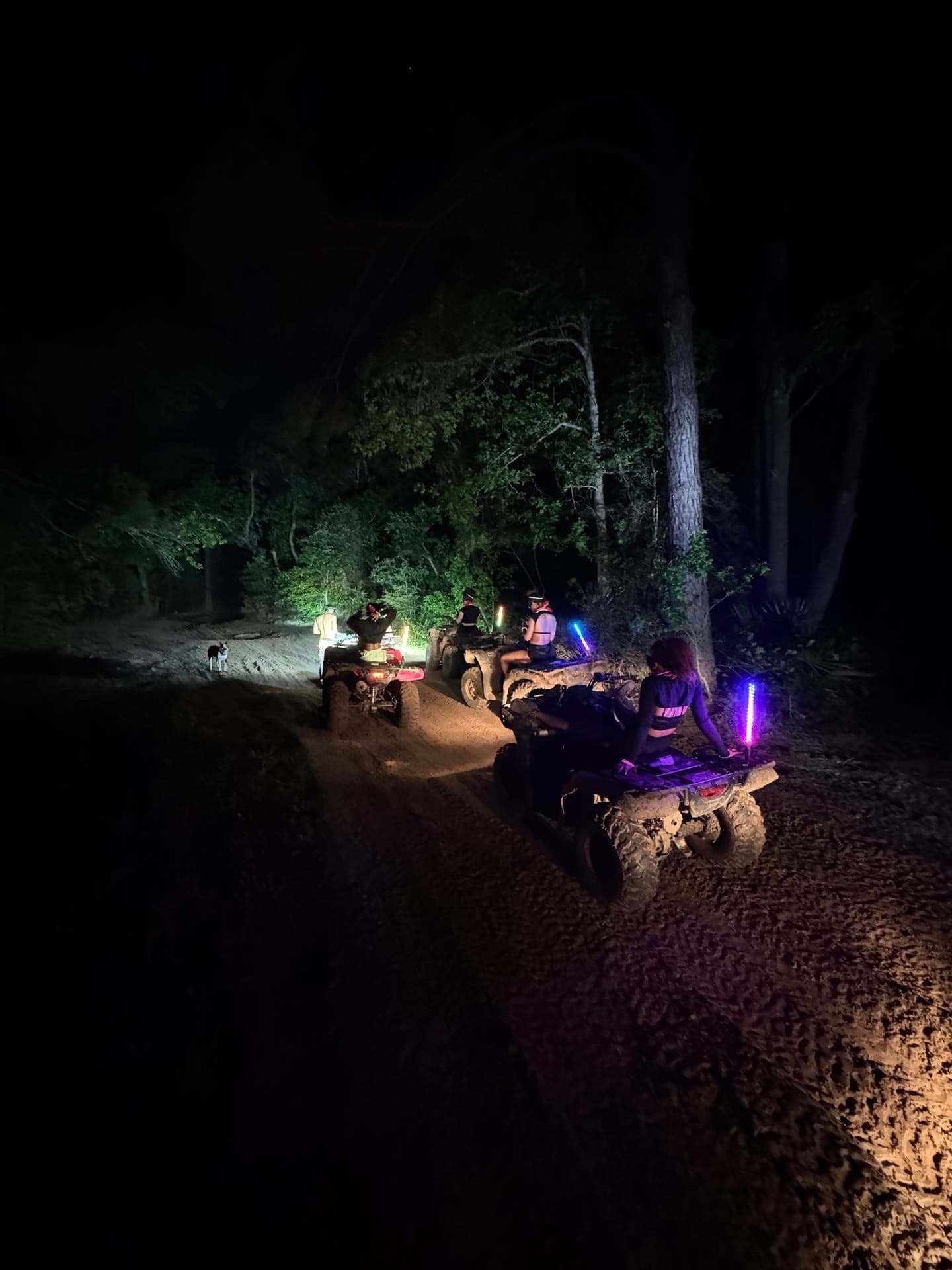 Night ATV Glow Tour: After-Dark Riding on 1,000 Acres Near Crosby, Texas photo 2