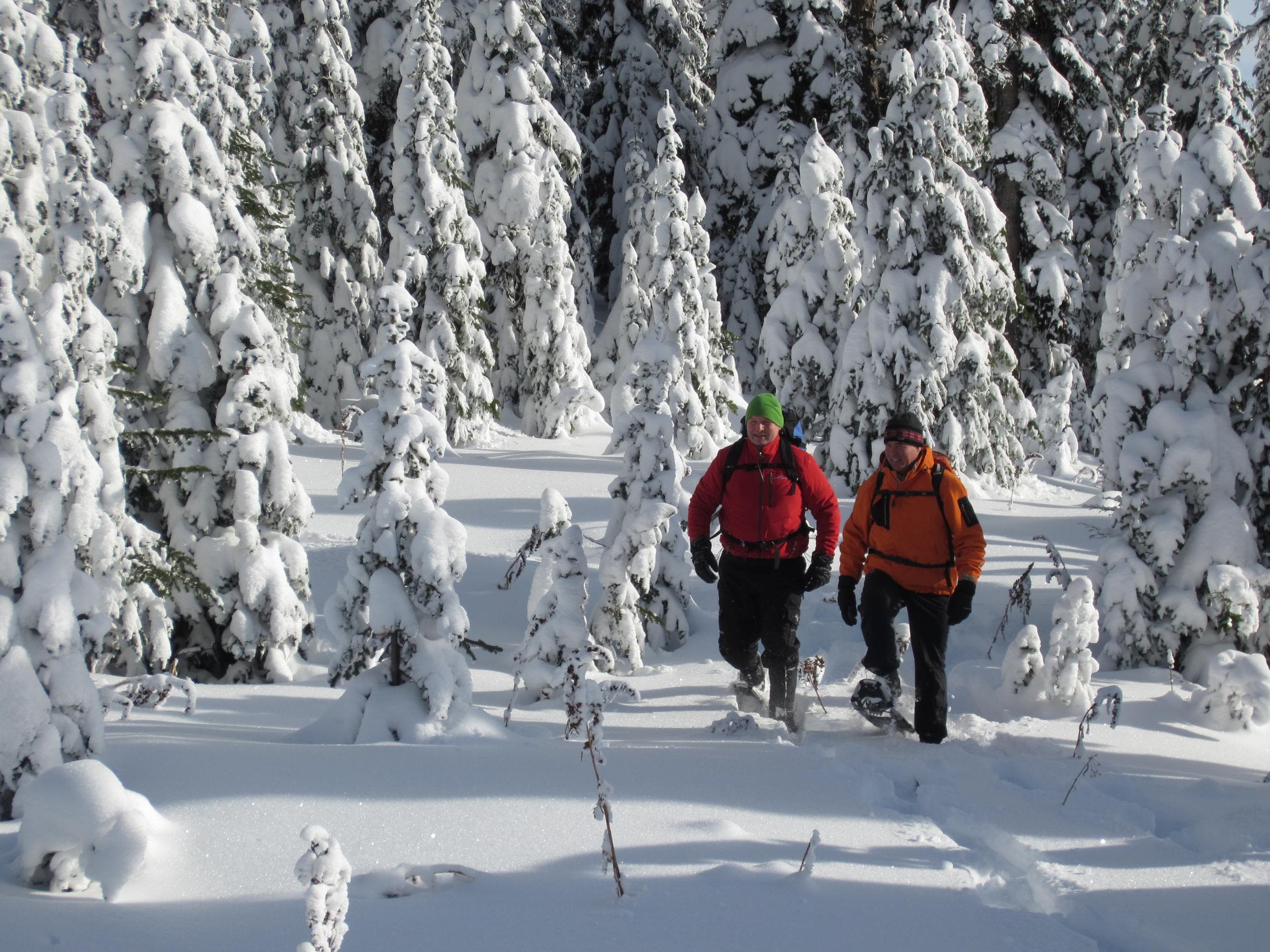 Couple snowshoeing through deep powder among tall snow-laden trees
