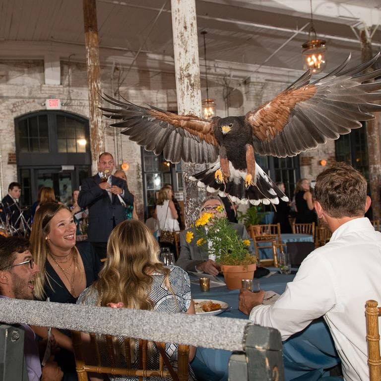 Birds & Brunch at the Bennett