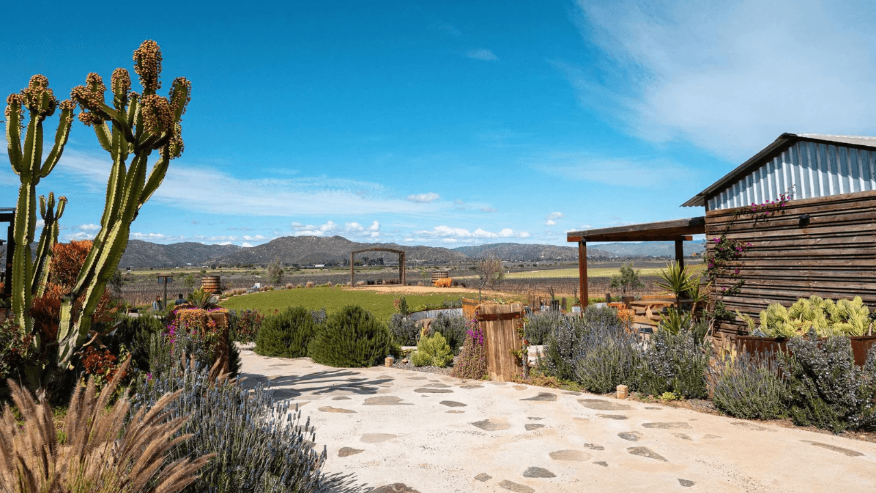 Baja Wine Tour from San Diego with Five Star Tours