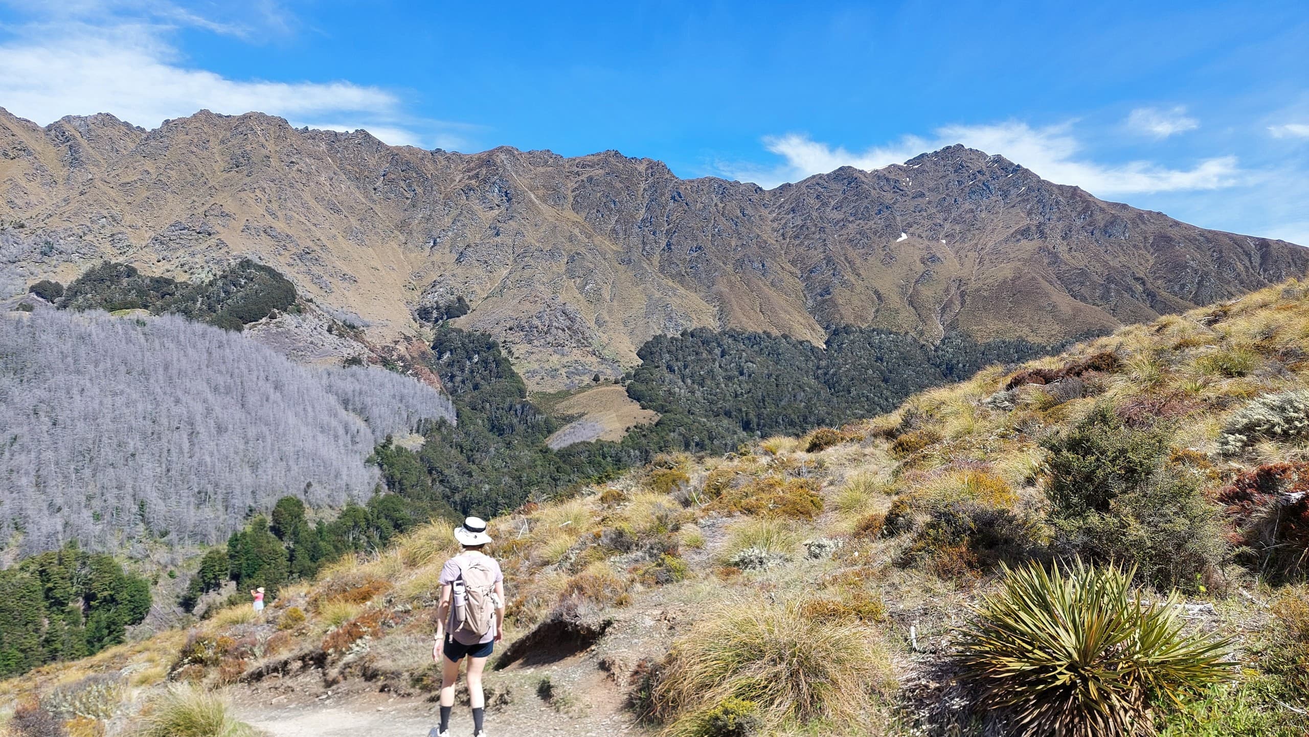 Summit Ben Lomond: Private Day Hike Above Queenstown with Skyline Gondola photo 2