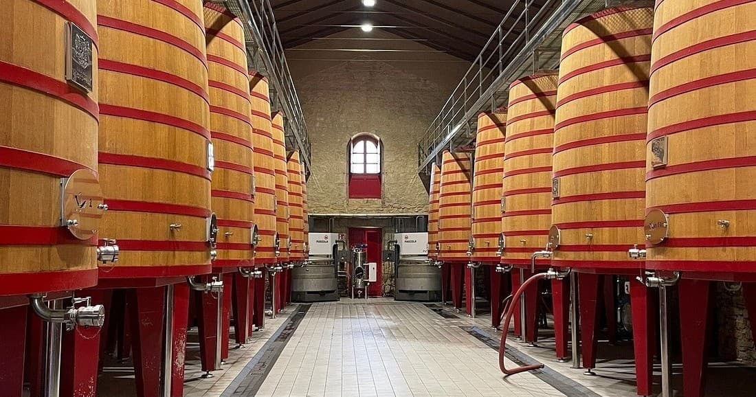 Basque Winery & Guided Premium Tasting Tour | Farm in Elciego | Winery, Wine