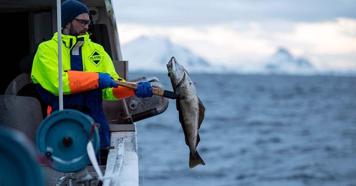 Fishing Adventures at Nusfjord Village & Resort