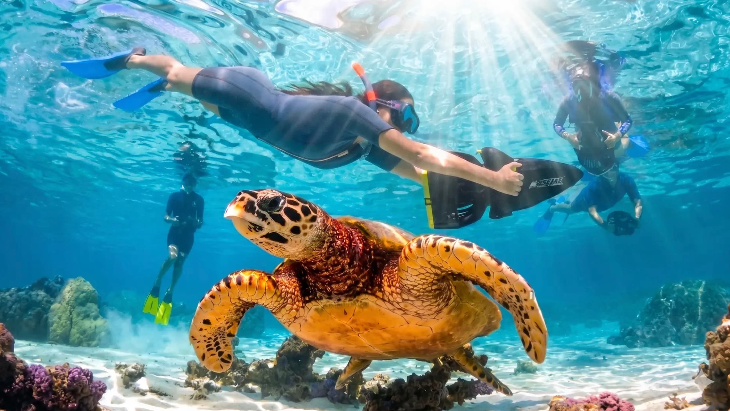 Underwater Sea Scooter Safari in Moorea: Jet Snorkel with Turtles & Rays
