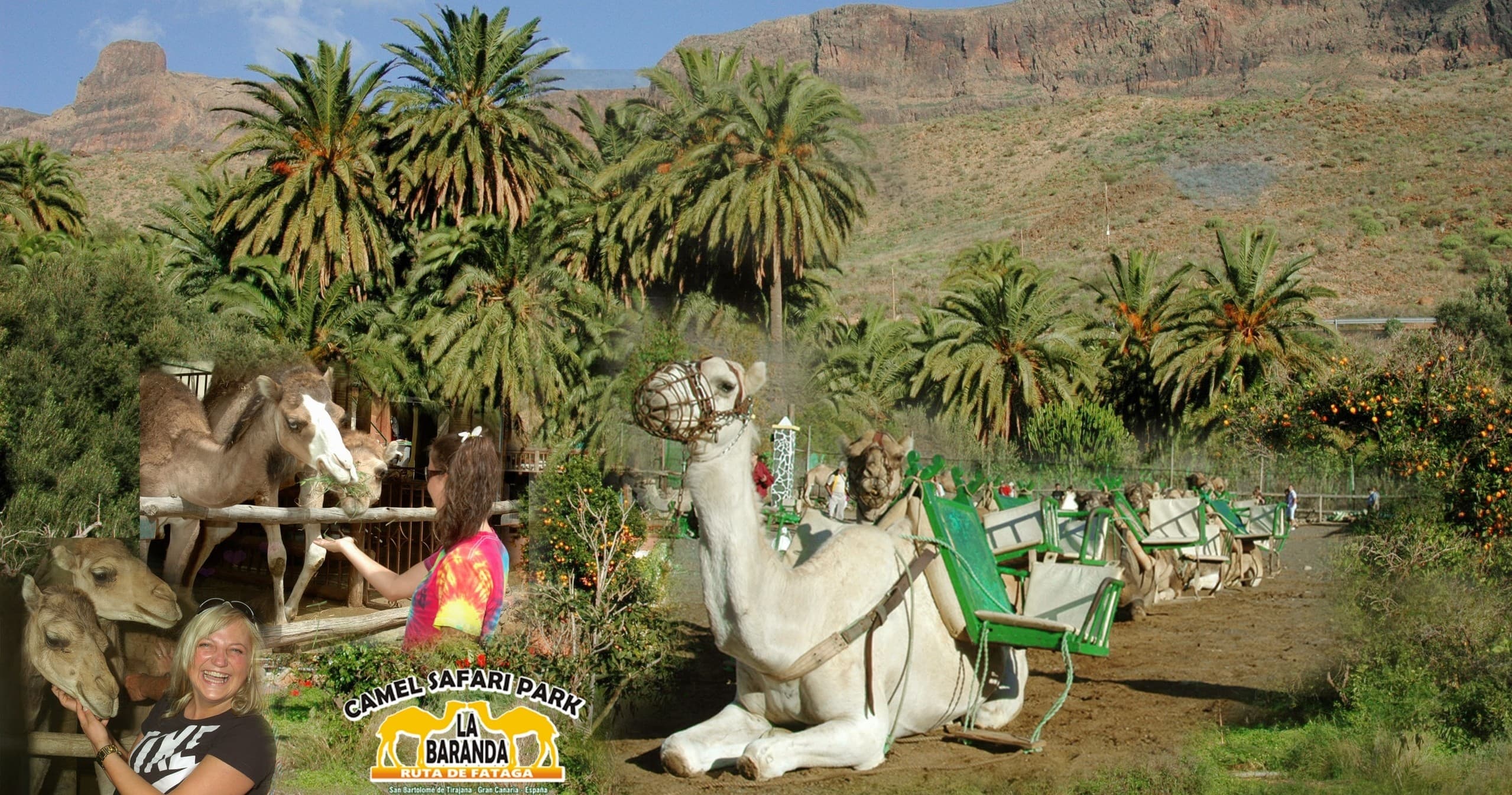 Camel Safari at La Baranda: An Oasis Adventure Near Mil Palmeras