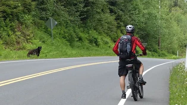 E-Bike & Hike Adventure in Ketchikan, Alaska