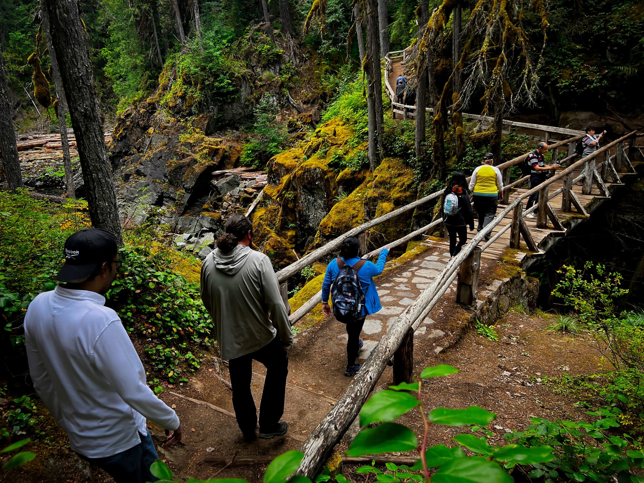 Private Mt. Rainier Day Tour from Seattle: Custom Small-Group Guide to Paradise & Sunrise