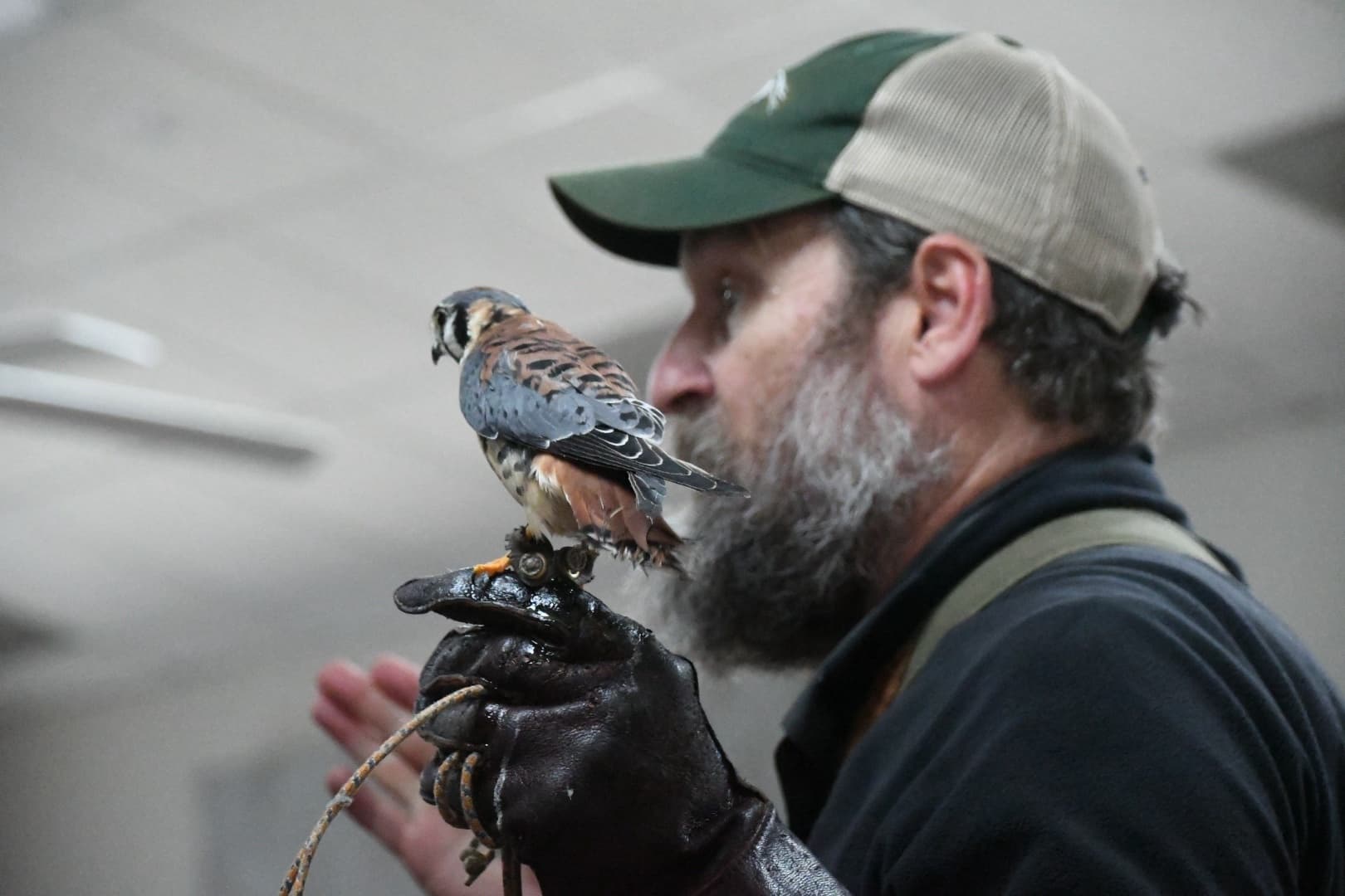 Wildlife & Birding Event at Wings Over Beaufort