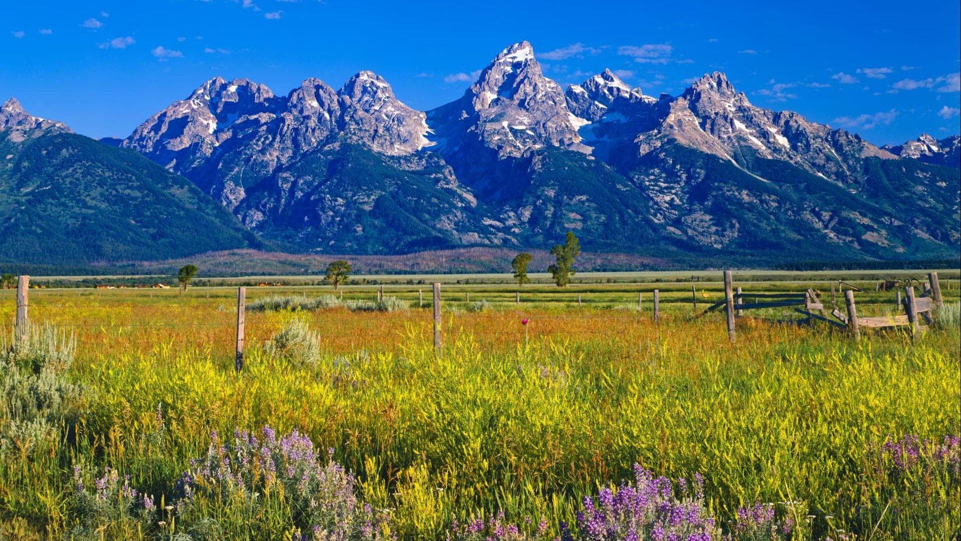 CTA Section Background Image