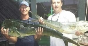 Two anglers displaying large mahi mahi catch after fishing trip