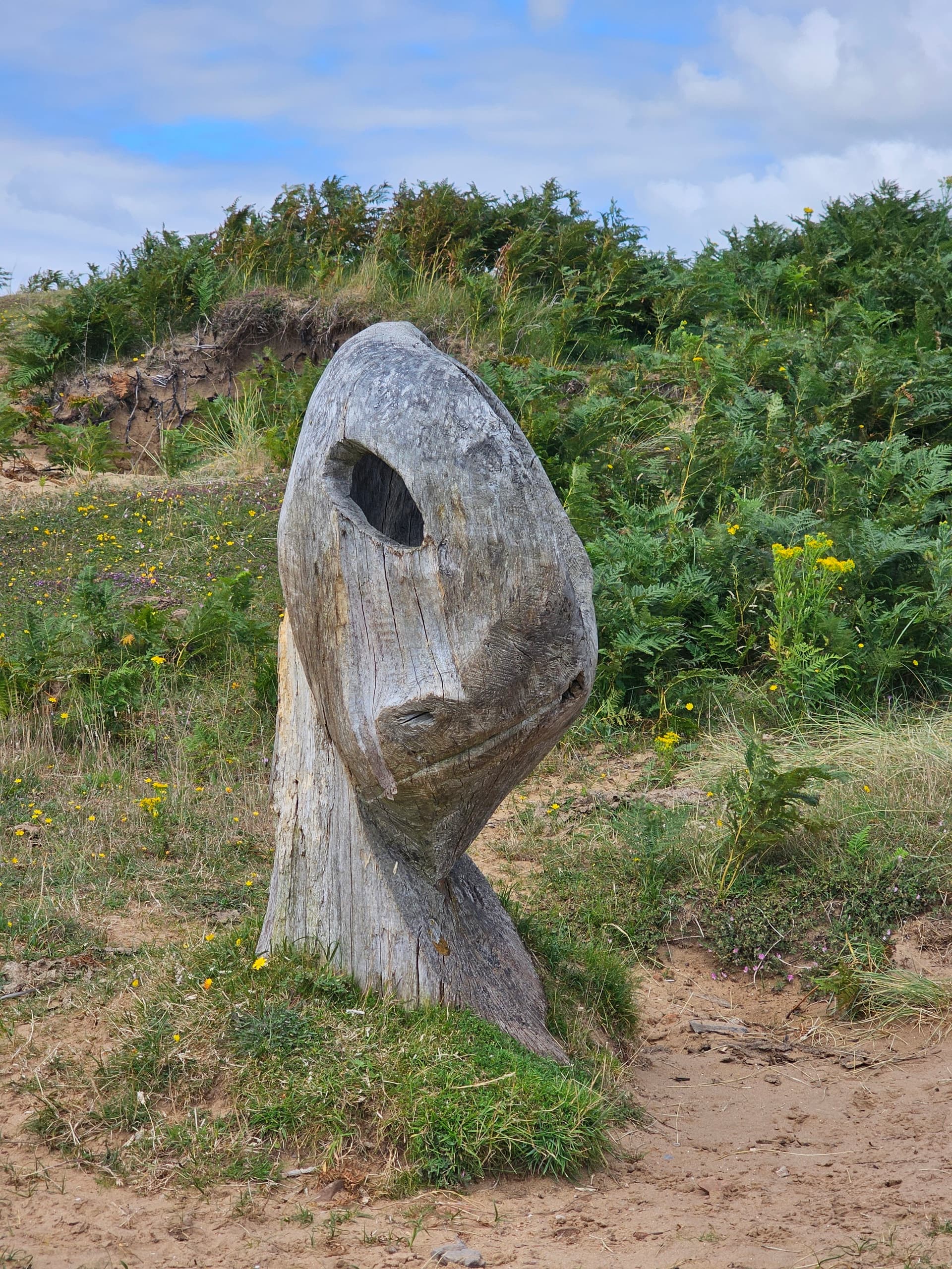 Three Cliffs Bay Circular Walk: Guided Coastal Hike on Gower Peninsula photo 4