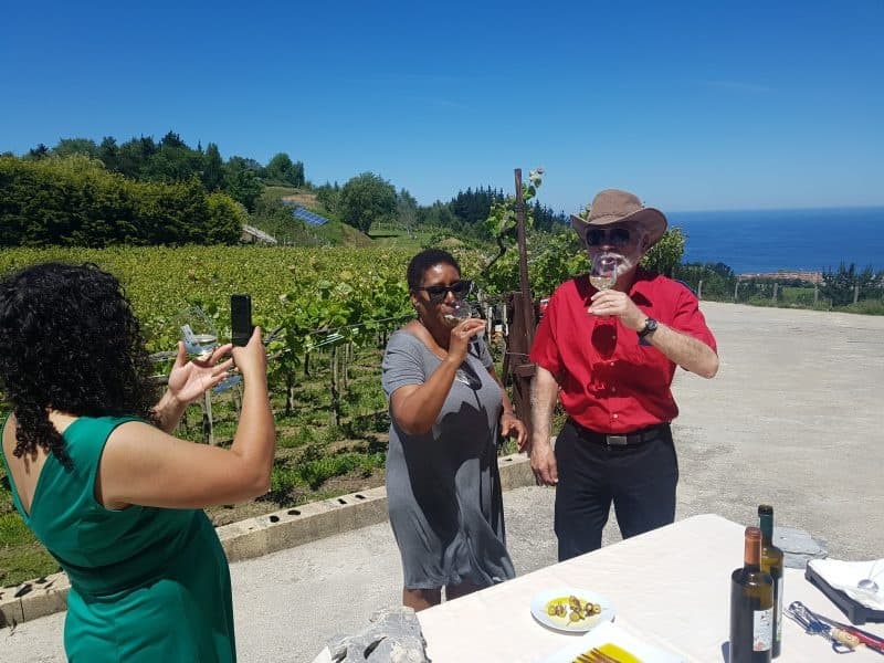 Wine Tasting & Coastal Charm with Go Basque in San Sebastián