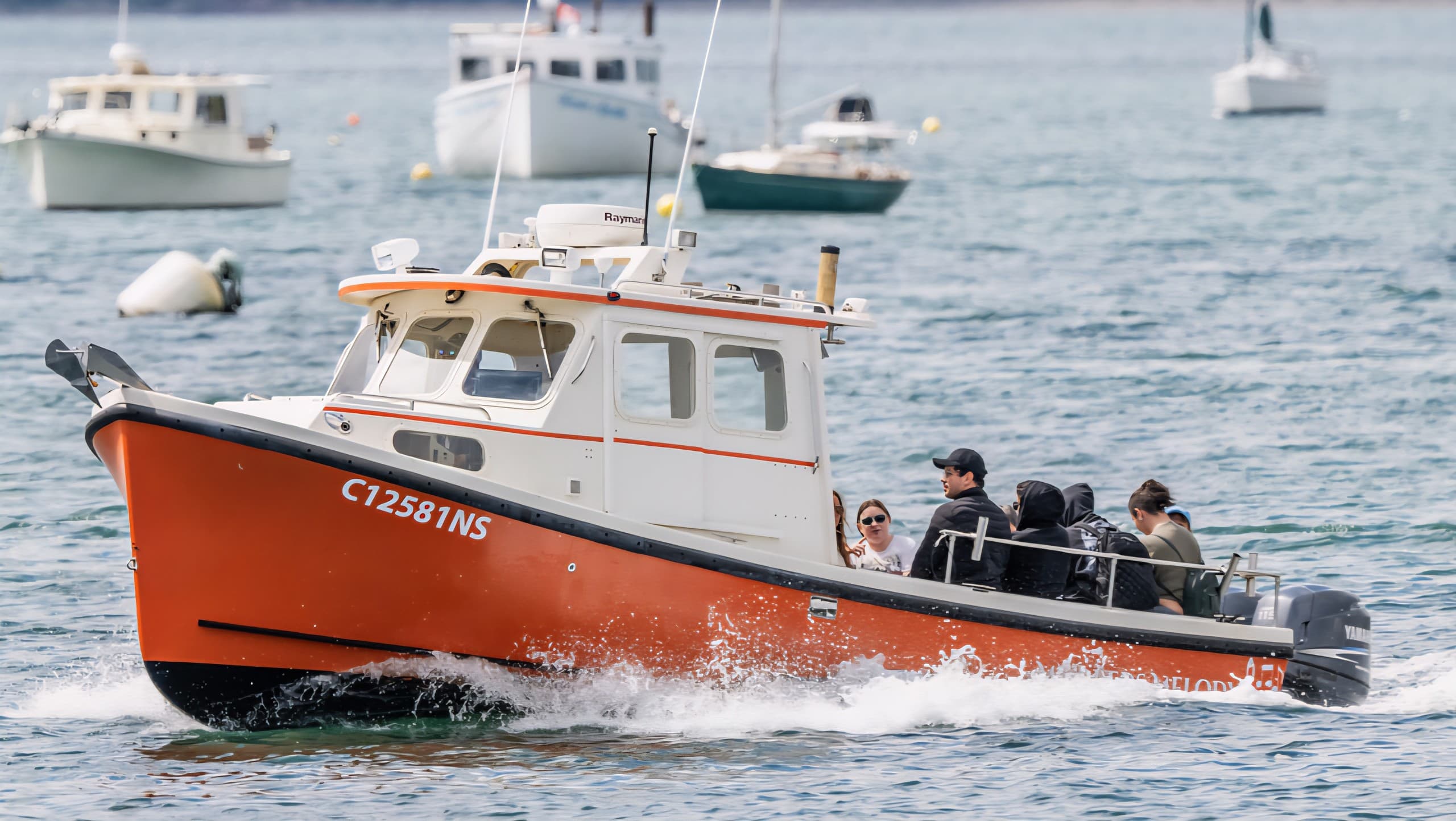 Small-Boat Bay Tours in Passamaquoddy Bay, St. Andrews