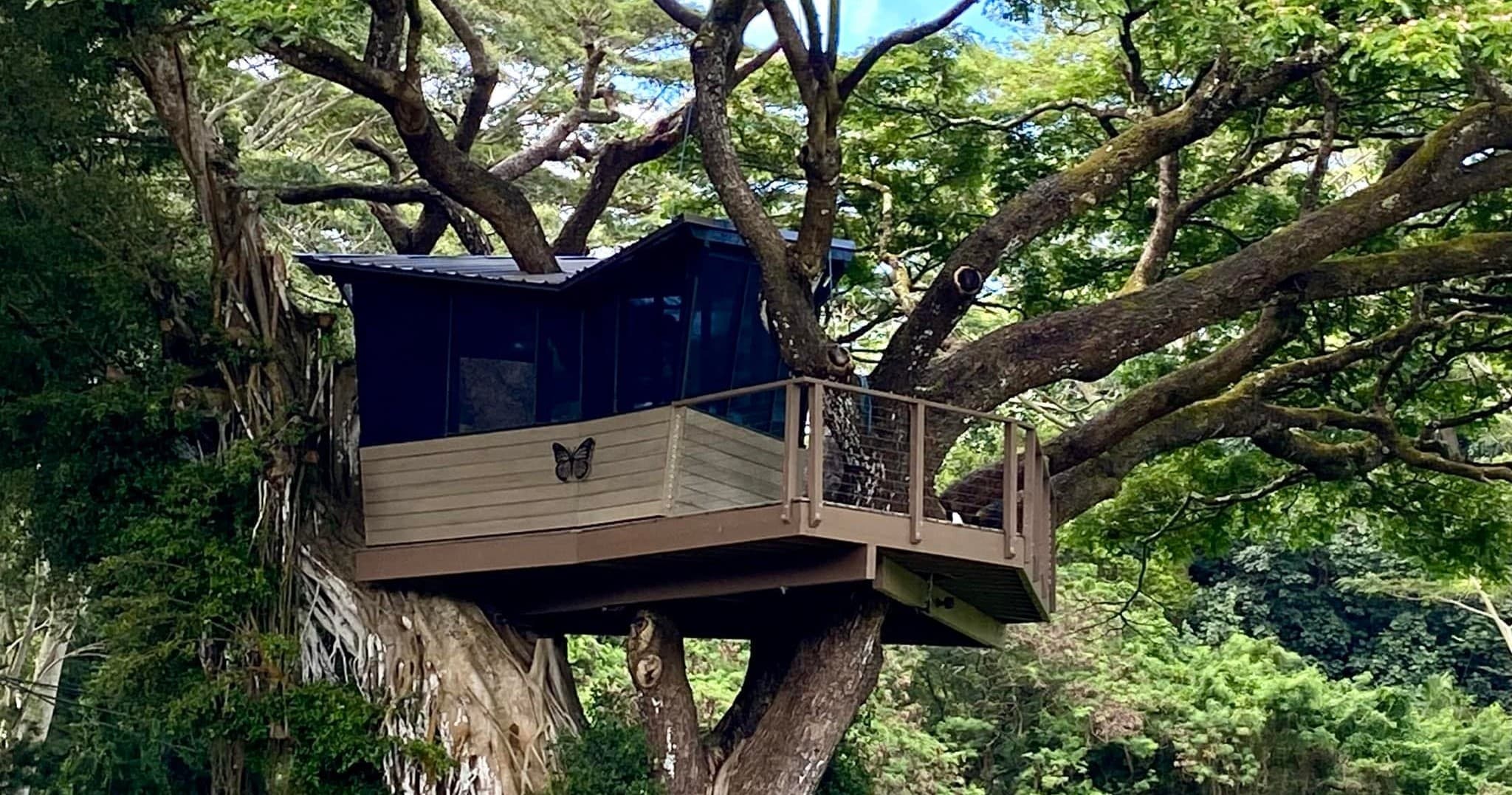 Farm Tours & Nature at Traverse Kauai