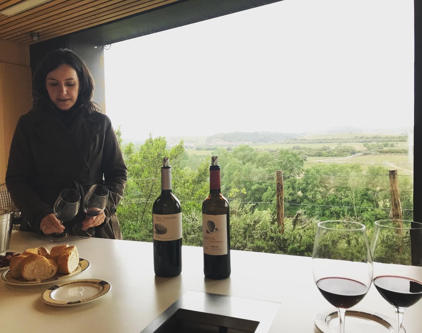 Wine & Gastronomy Tour in Rioja with Bilbao Business