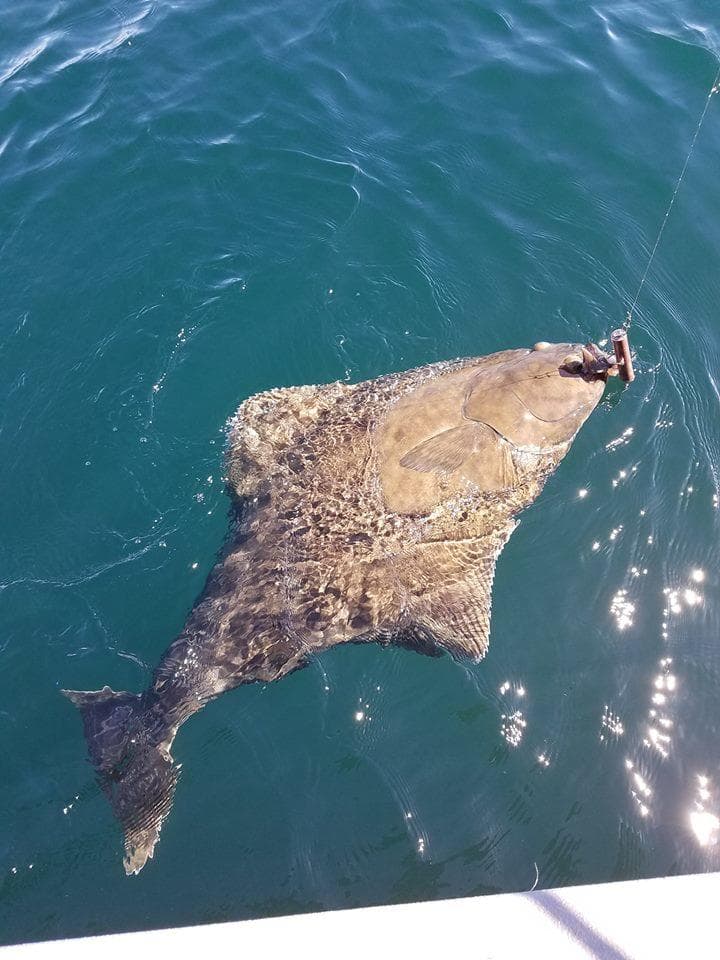 Halibut Fishing Adventure in Charleston, Oregon