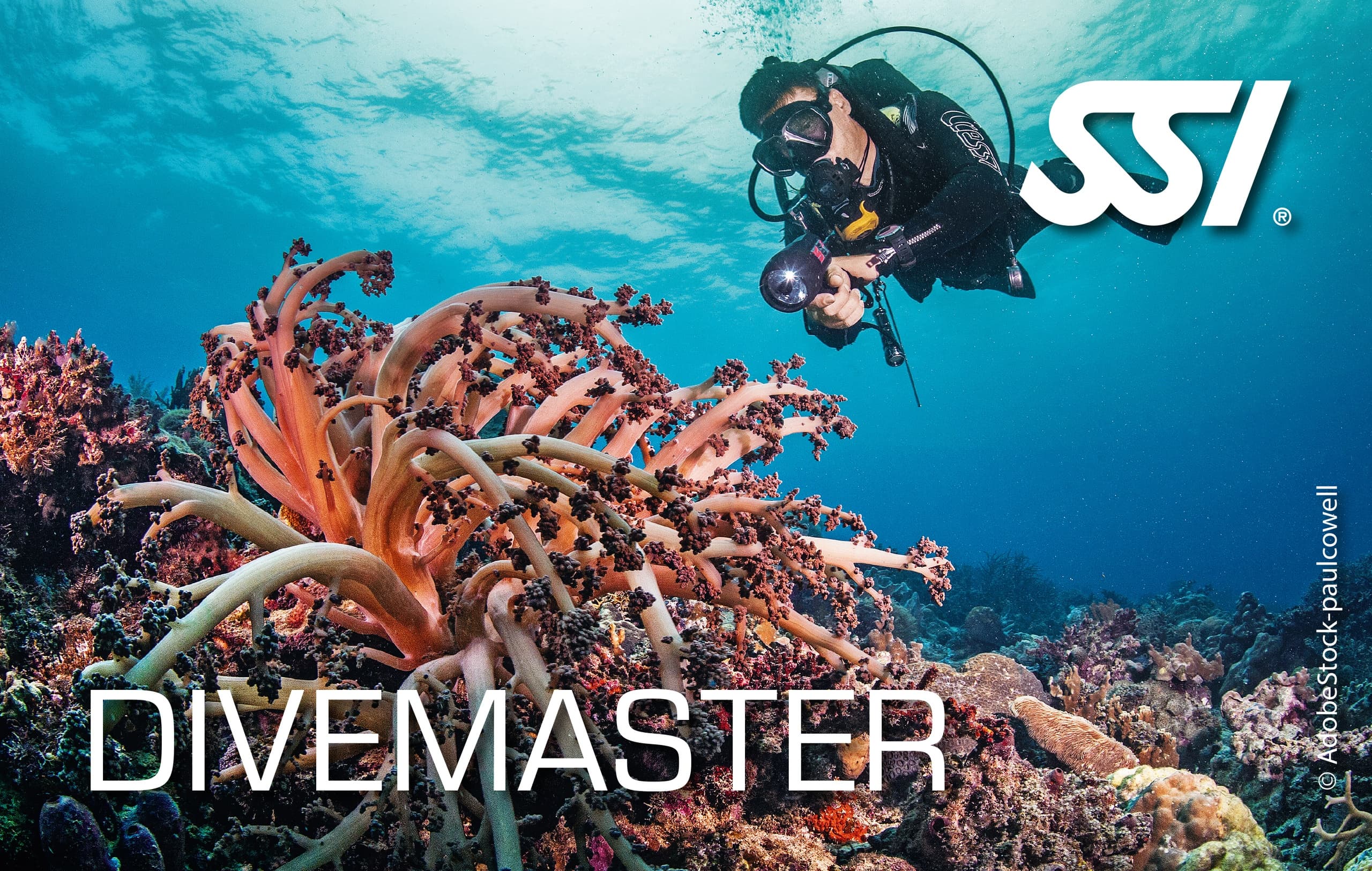 Divemaster Internship at Rich Coast Diving in Coco, Costa Rica