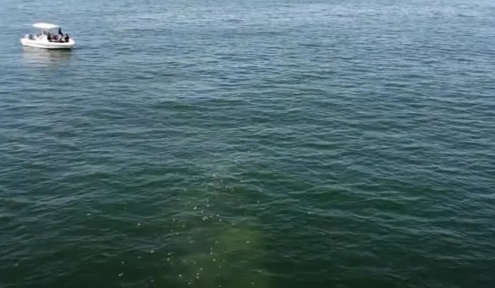 Burials at Sea in Huntington Beach, California