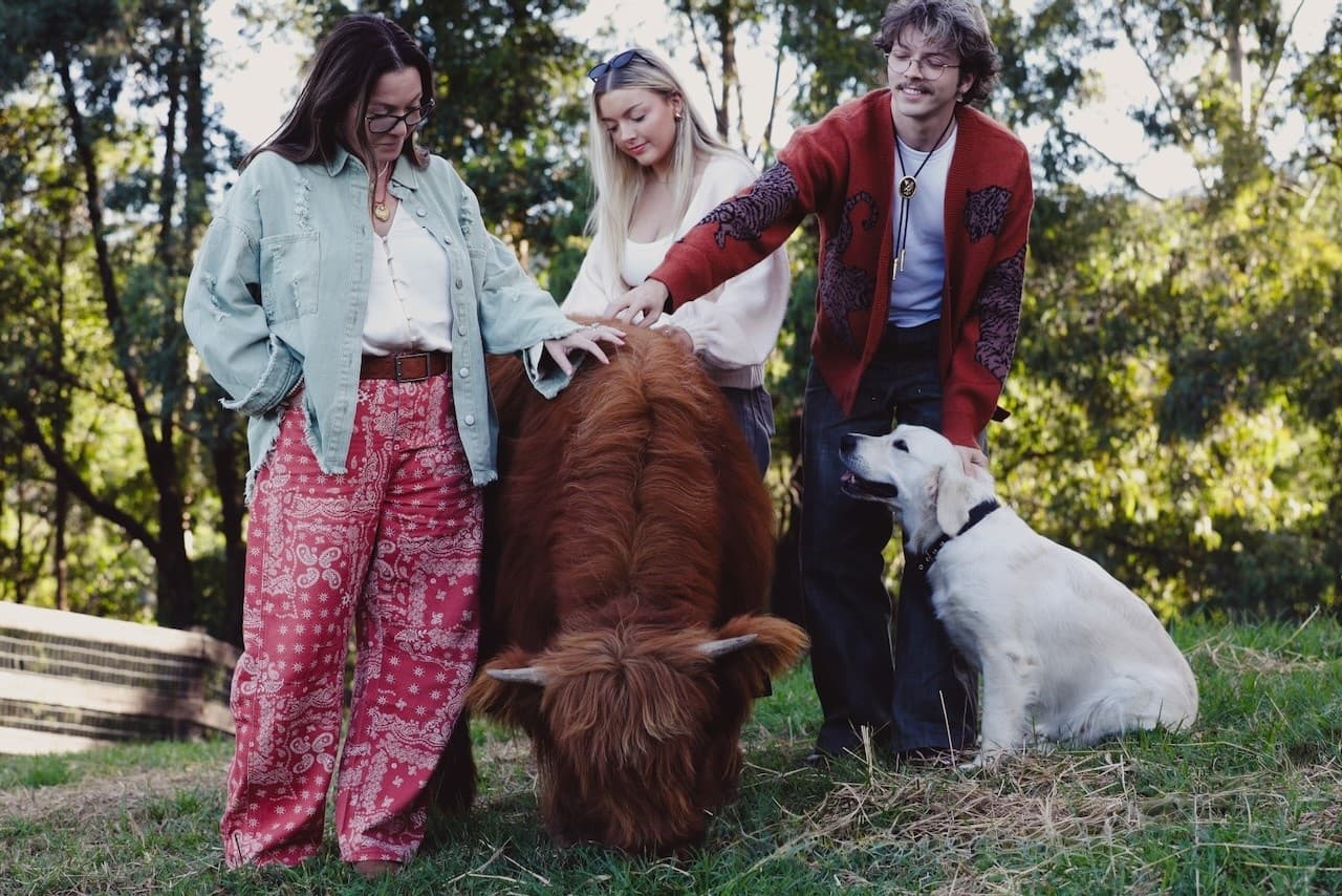 Paddock Portraits: Highland Cow Photoshoot at Grose Vale