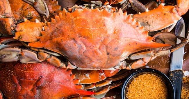 Culinary Adventure in Maryland with Baltimore Chef Shop