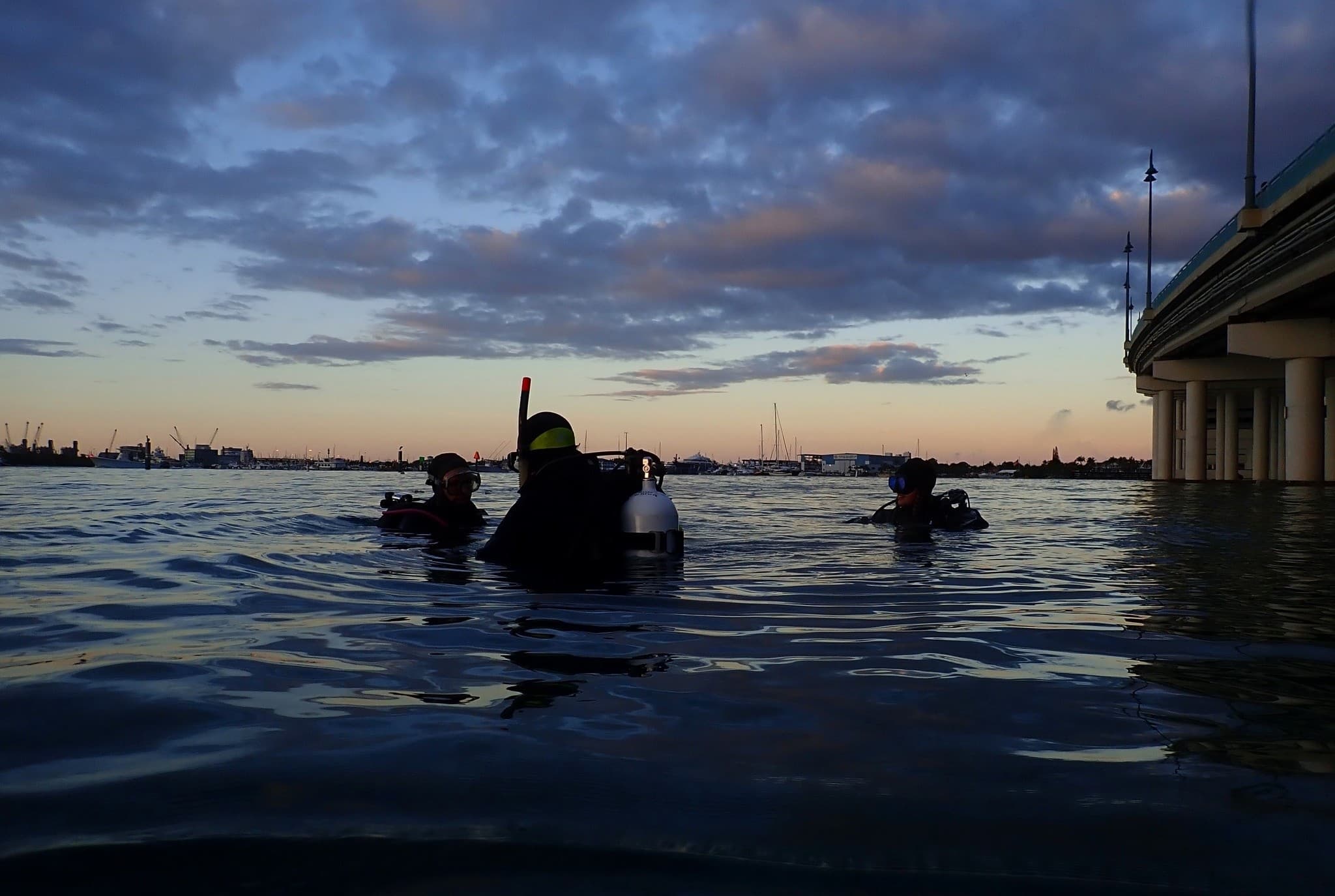 Night Diver Specialty at Blue Heron Bridge: Learn Night Diving in Riviera Beach photo 1