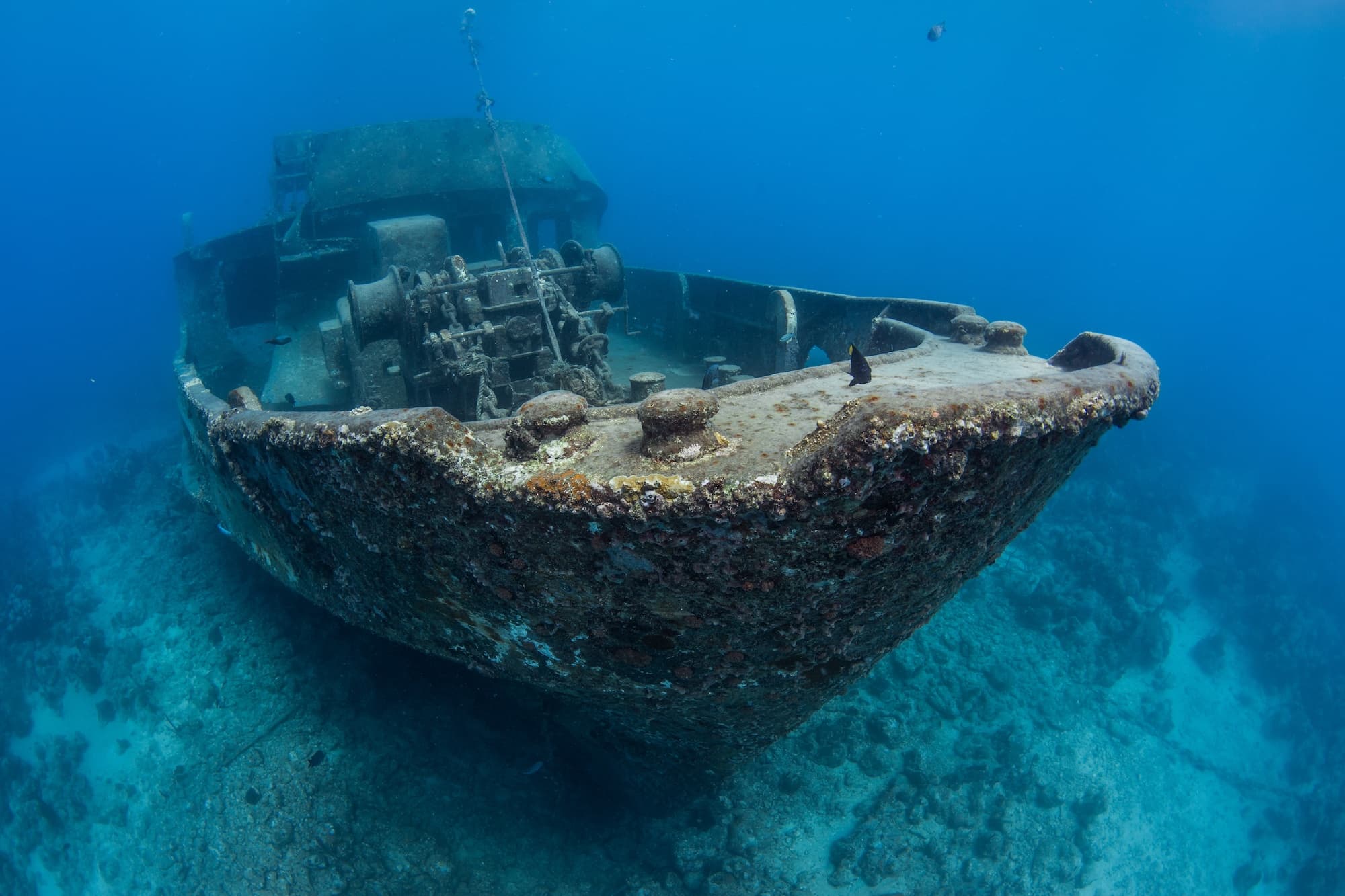 Underwater shipwreck dive site, dramatic bow view scuba diving