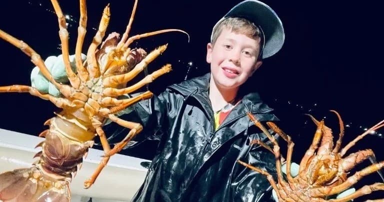Mission Bay Private Lobster Fishing Charter - Evening Spiny Lobster Hoop-Net Trip in San Diego