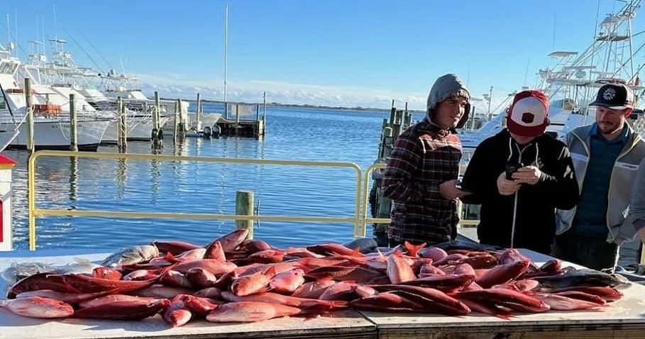 Anglers displaying red snapper catch at marina dock