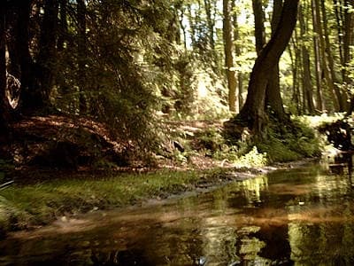 Design-Your-Own Multi-Day Canoe Tour in Rheinsberg - Transport Included