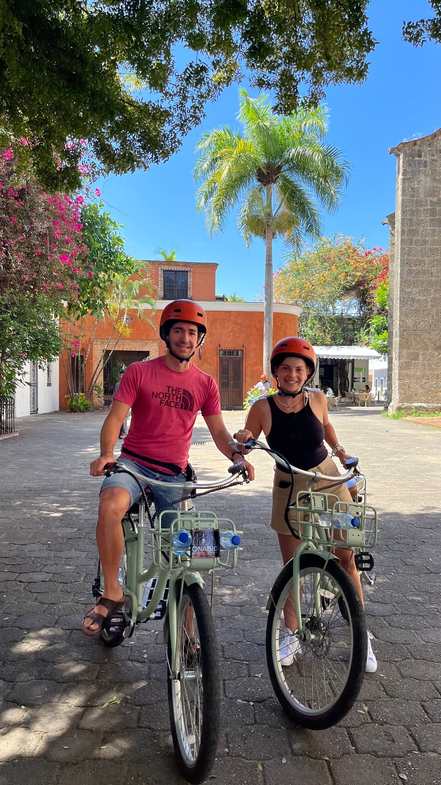 Zona Bici Bike Rental fleet