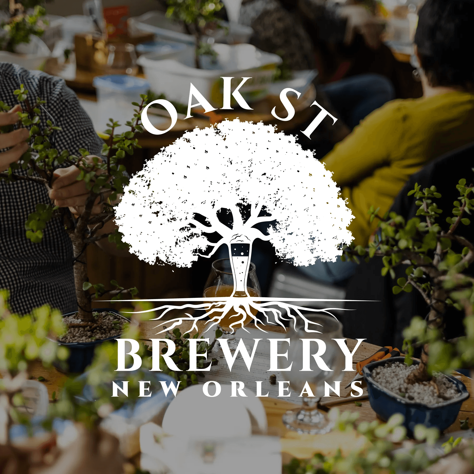 Build a Tiny Bonsai at Oak Street Brewery — Hands-On Workshop in New Orleans