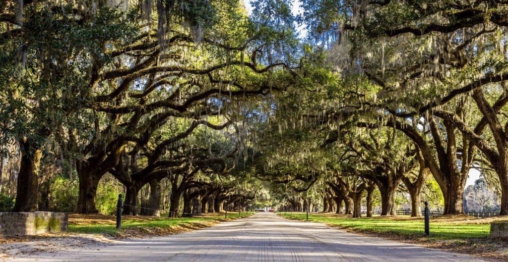 Gullah Heritage Walk with Lowcountry History Strolls