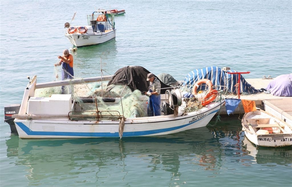 Porto de pesca e  photo 1