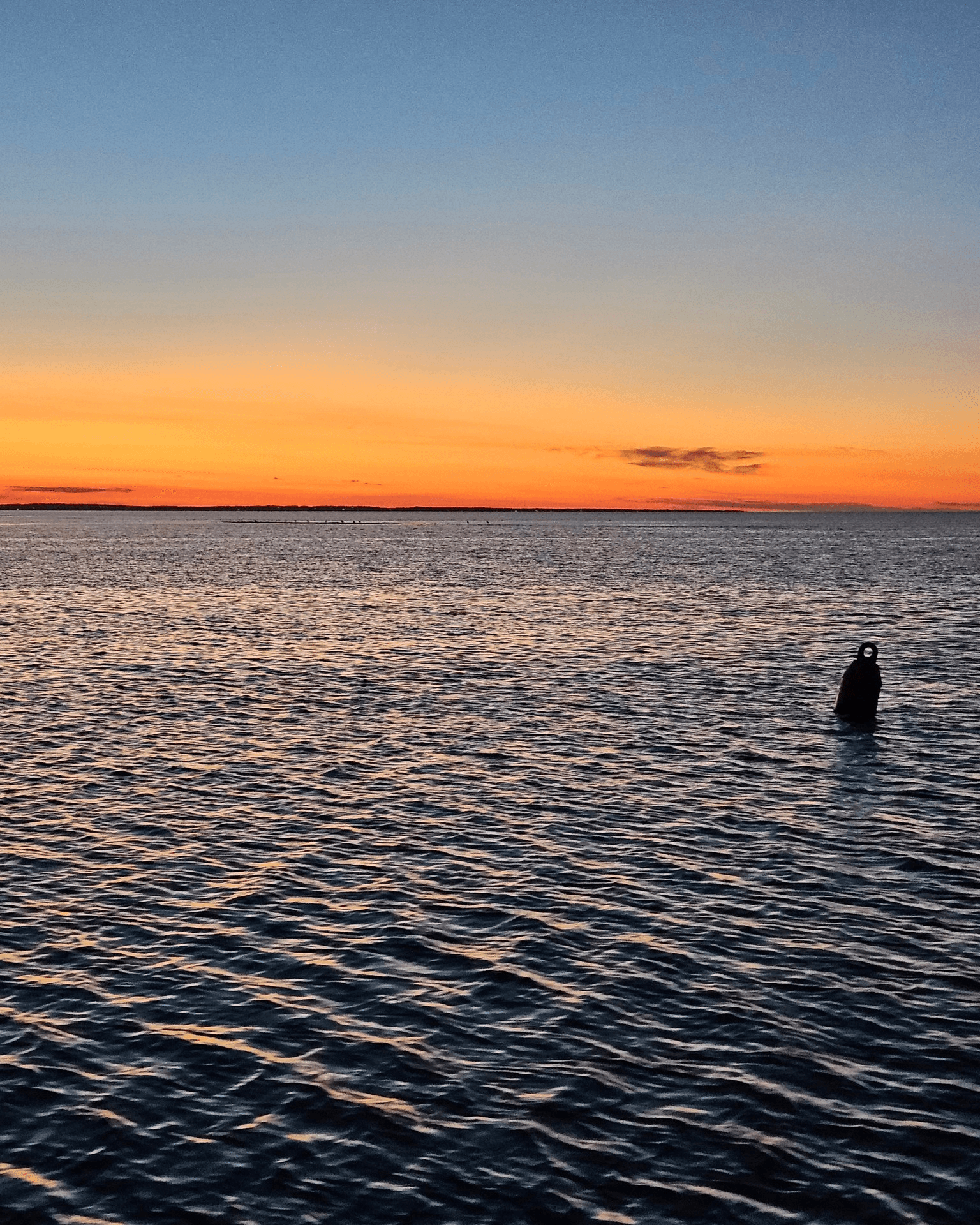 Sunset Cruise Experience in Beaubassin East, New Brunswick