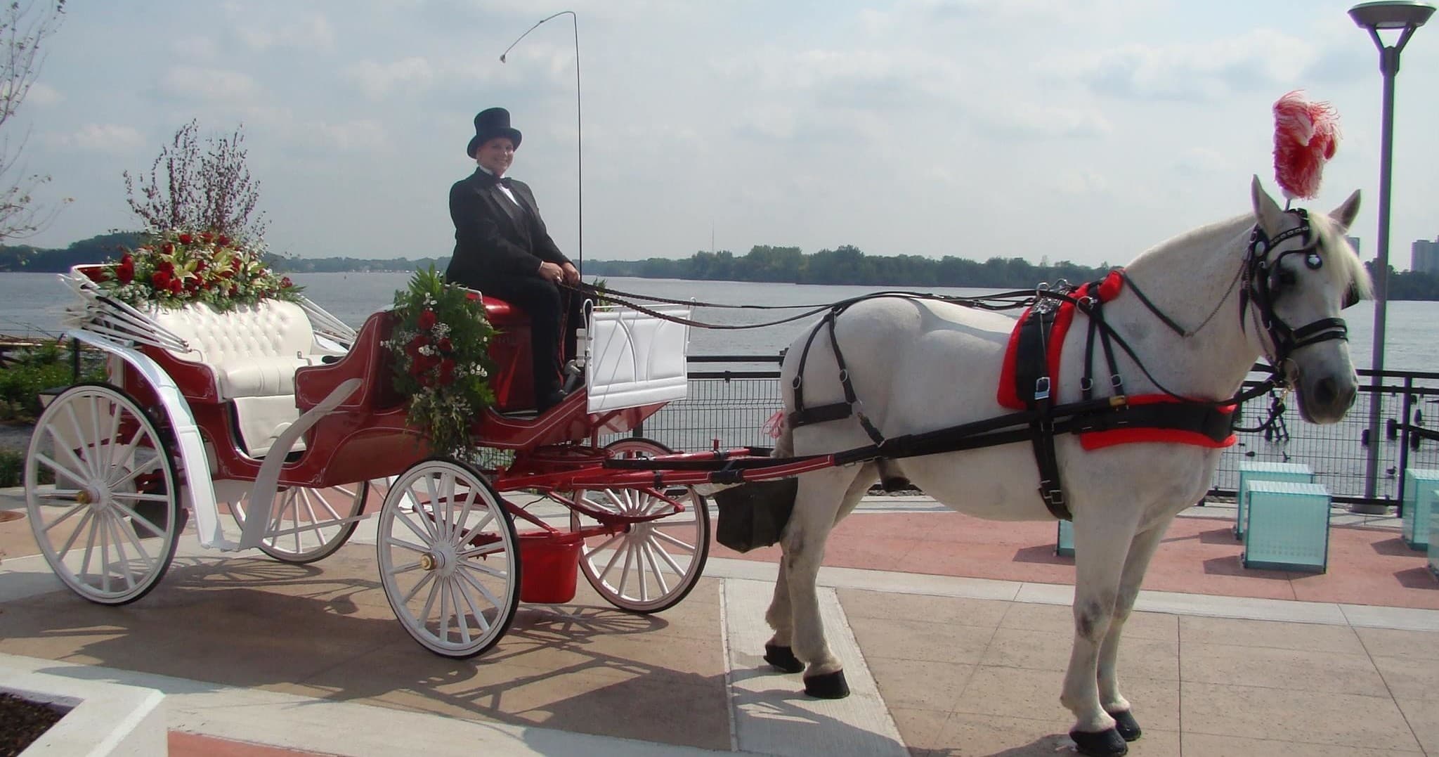 Horse-drawn carriage on waterfront promenade during city tour