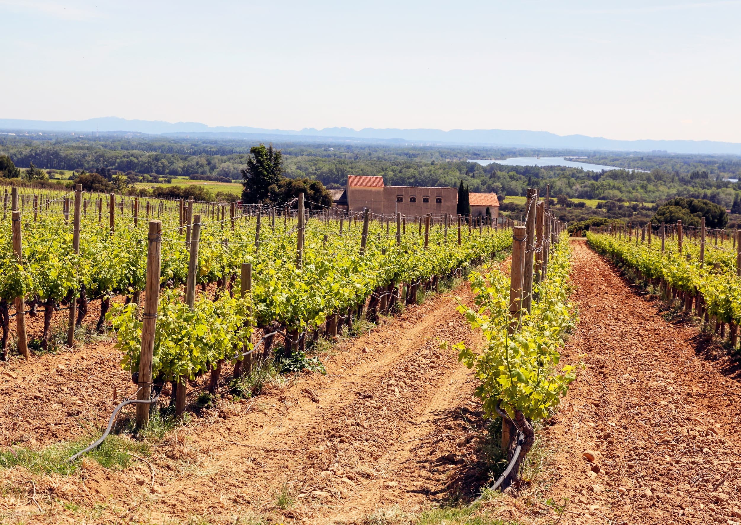 Rhône Valley Vineyards Tour with Ooh Provence