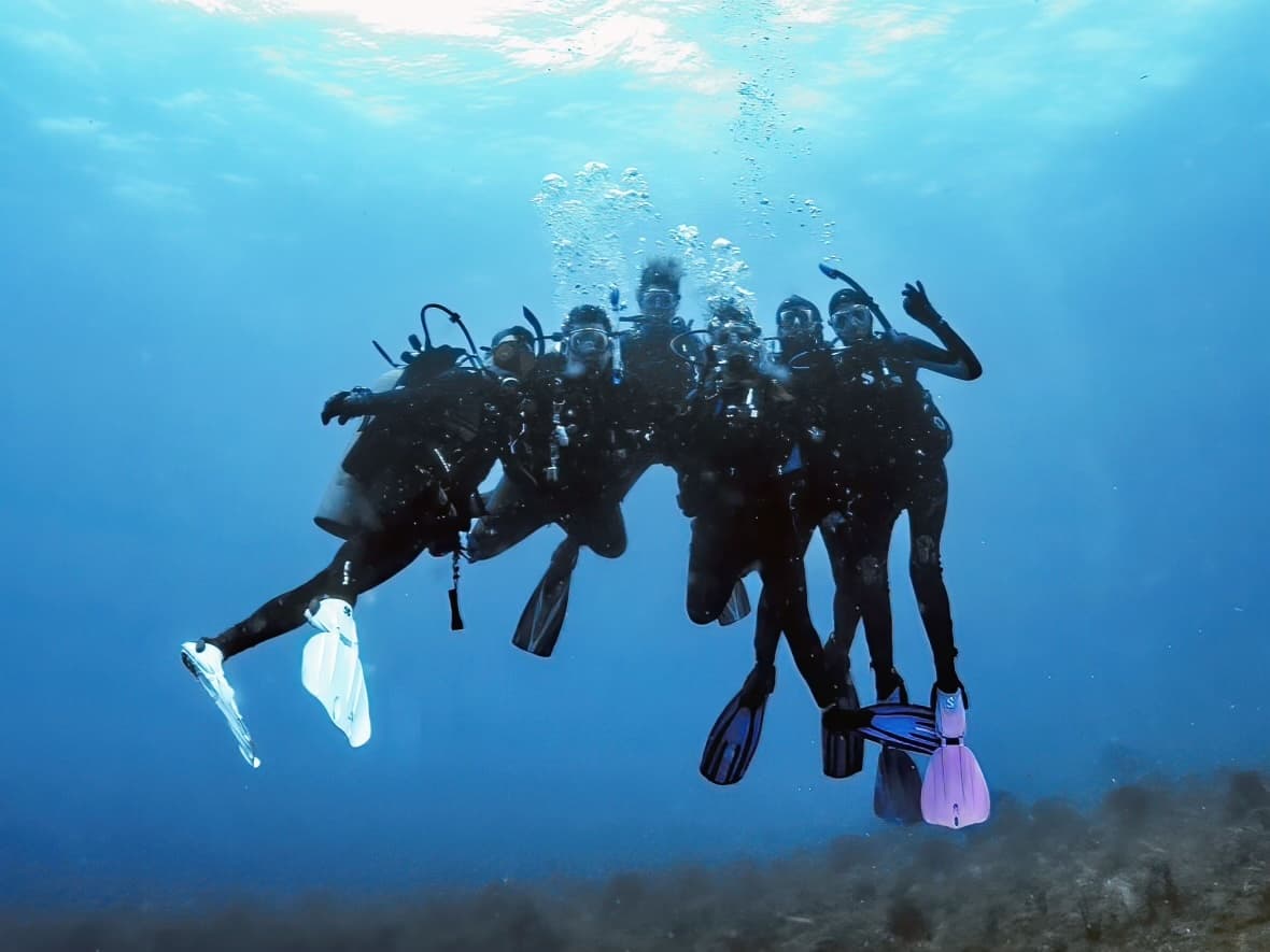 Tavernier Dive Weekend: Guided Two-Day Reef and Wreck Diving in the Upper Florida Keys
