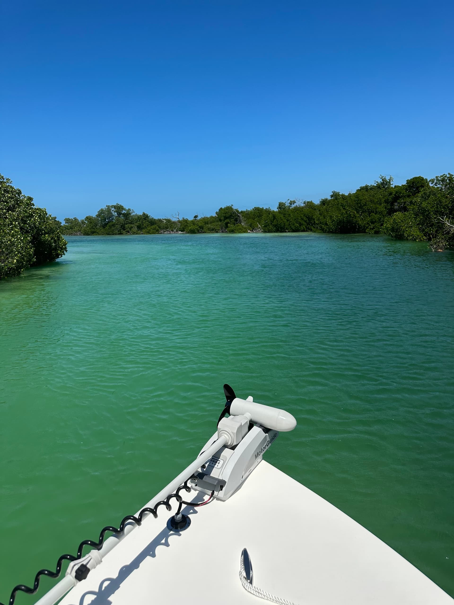 Full-Day Flamingo Tour Aboard the 27' Pathfinder — Everglades Mangrove & Wildlife Cruise